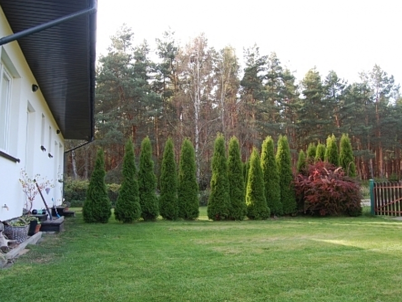 Apartament ul. Borówkowa 4 — zdjęcie 3